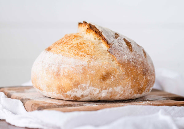 Organic, Non-GMO Sourdough Starter | Freeze Dried |  12gm