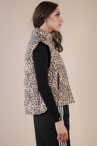 Solid & Leopard Puffer Padded Warm Vest: LEOPARD