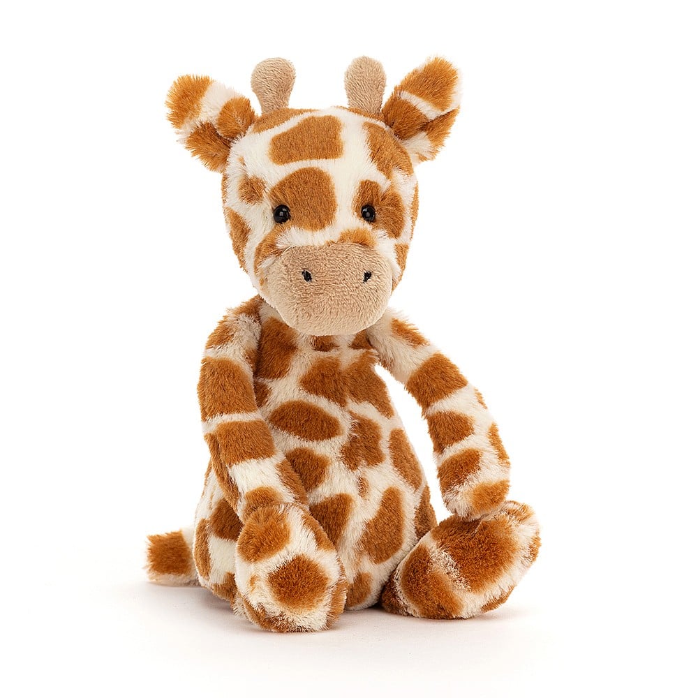 Bashful Giraffe