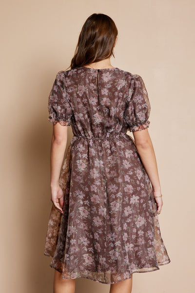 Printed Organza Dress