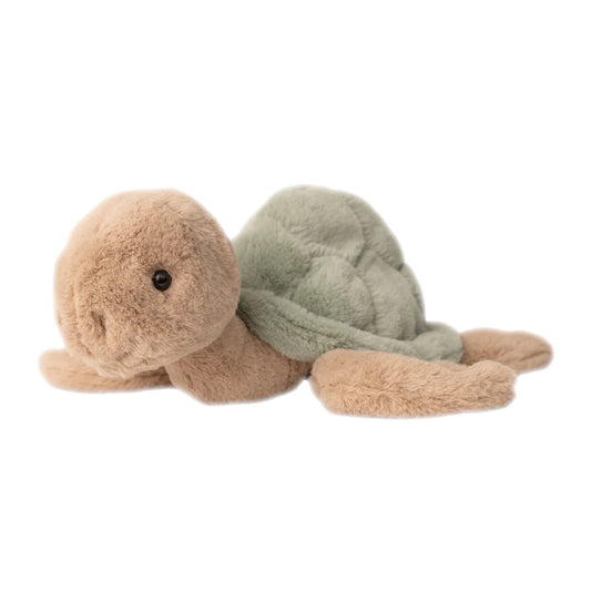 Sandy the Turtle