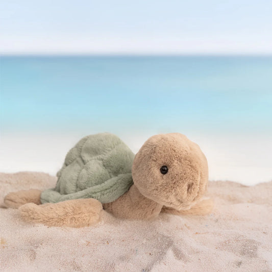Sandy the Turtle