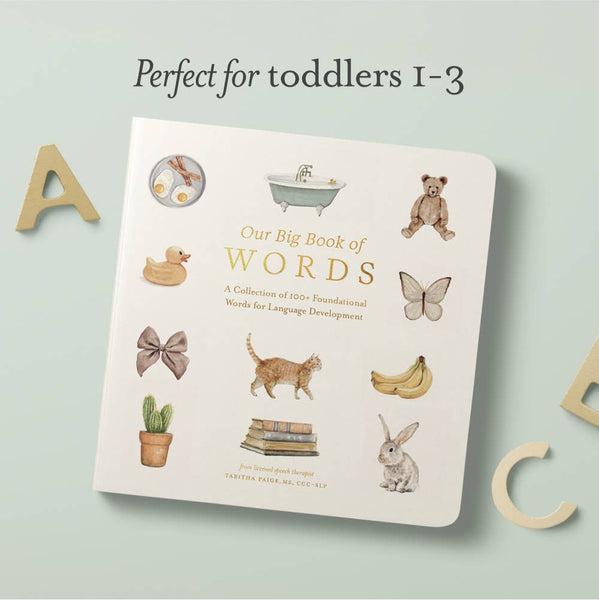 Our Big Book Of First Words - Lulu Bella Boutique