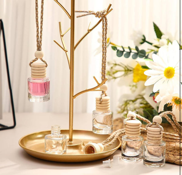 Radiance Car Freshener Diffuser: Vent Clip Diffusre - Lulu Bella Boutique