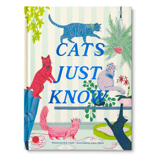 Cats Just Know - Lulu Bella Boutique