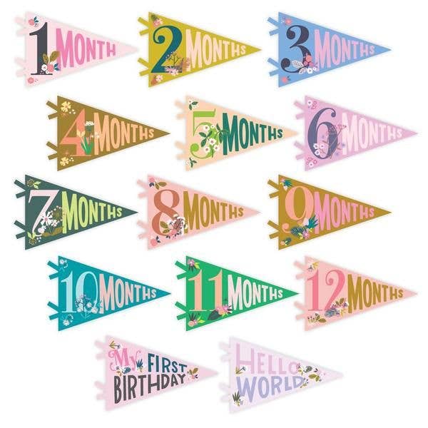 Little Artist Baby Milestone Pennant - Lulu Bella Boutique