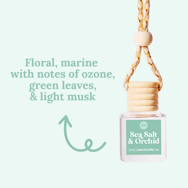 Car Diffusers | Core Scents: Individual Mylar Bag / Brown Sugar & Fig