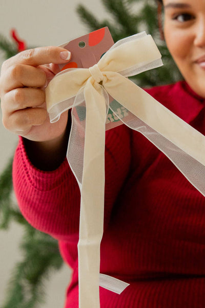 Chiffon + Velvet Bow: Red