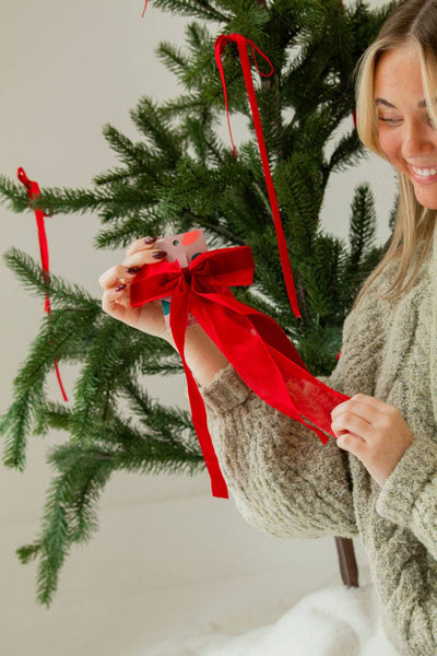 Chiffon + Velvet Bow: Red