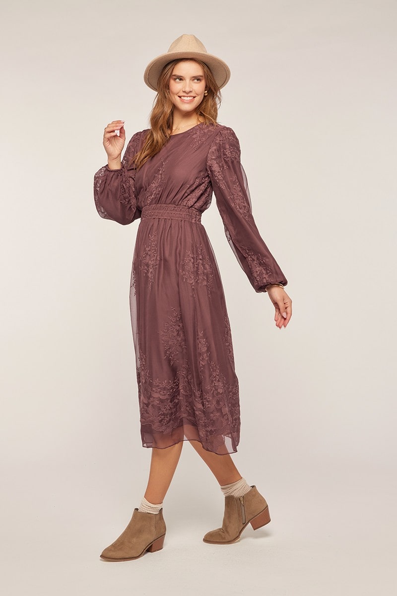 Embroidery Chiffon Dress