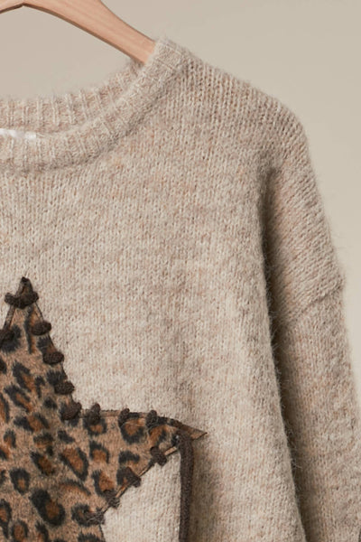 Bold Star Detail Knit Sweater: Coffee