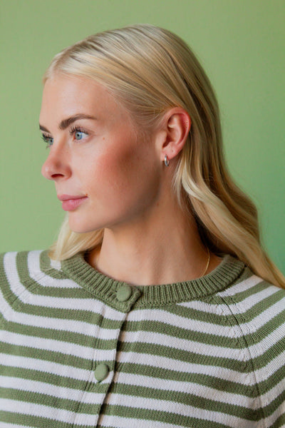 Matte Silver Hoops