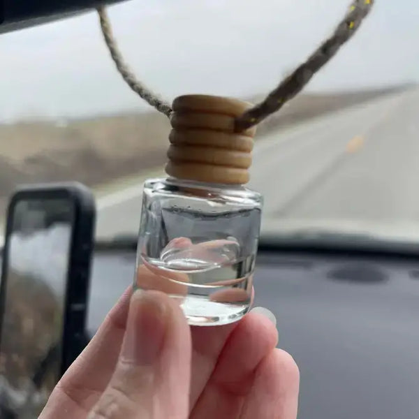 Radiance Car Freshener Diffuser: Vent Clip Diffusre - Lulu Bella Boutique