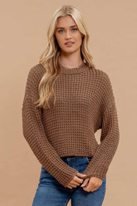 Crew Neck Sheer Crocheted Sweater