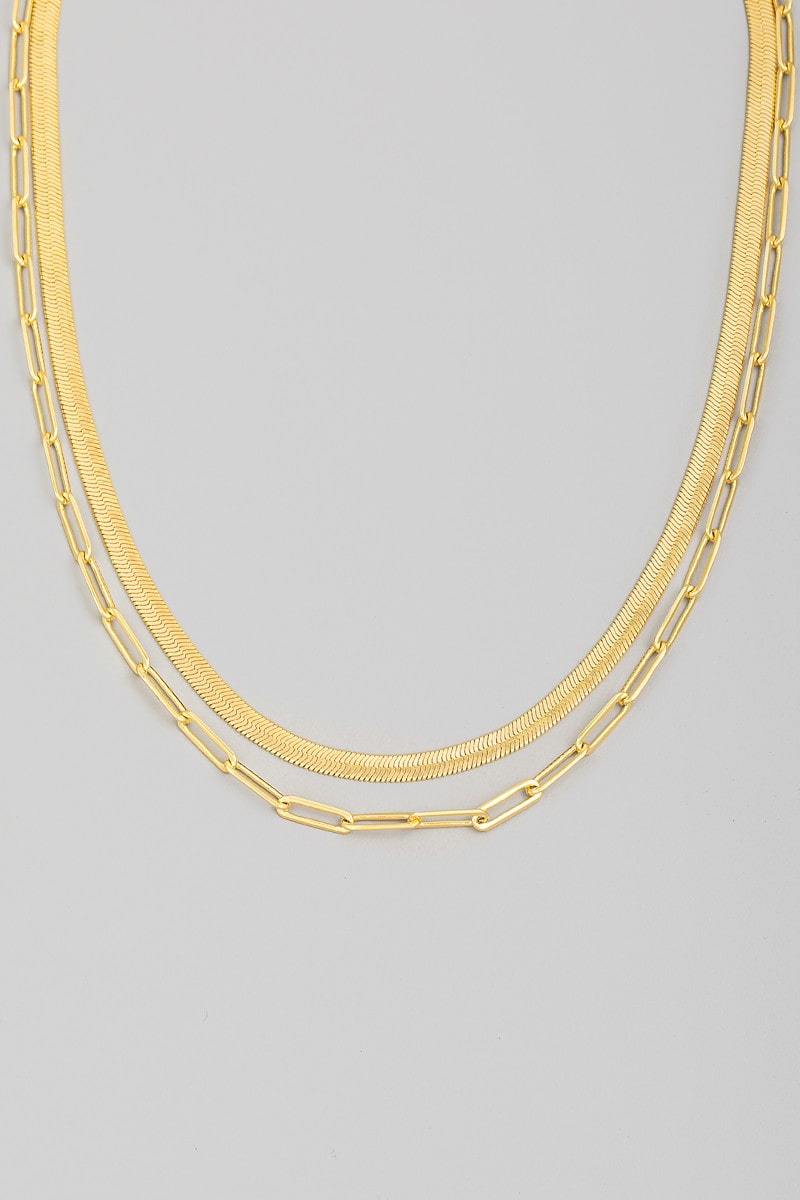 Snake And Oval Layered Chain Necklace