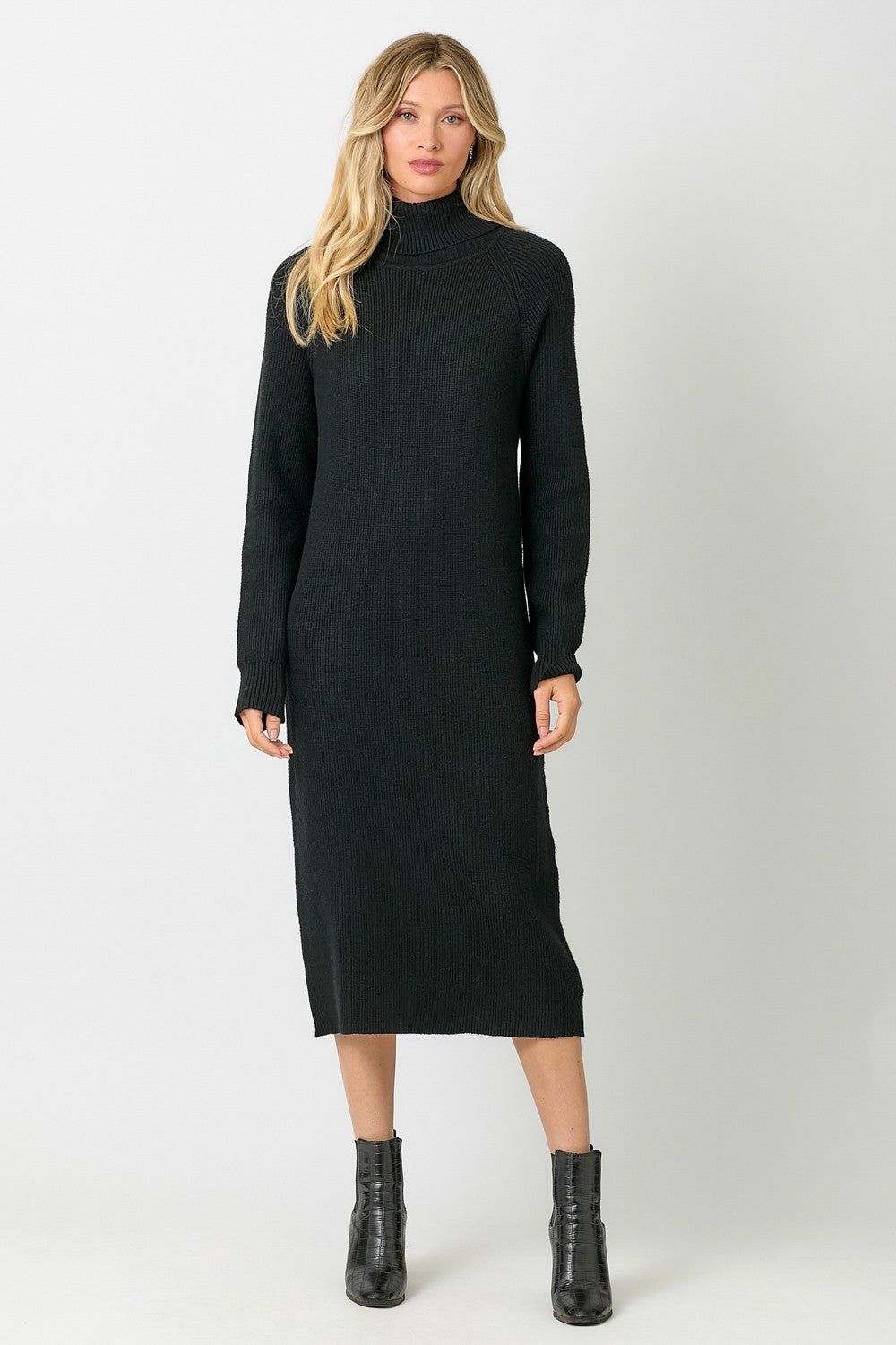 Turtleneck Rib Knit Dress Black / Medium Turtleneck Rib Knit Dress Black / Medium