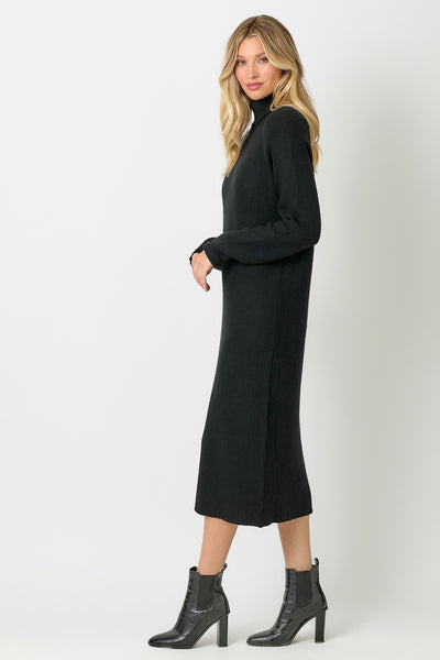 Turtleneck Rib Knit Dress